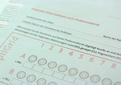 Polaris – Bildausschnitt einer Formularfamilie